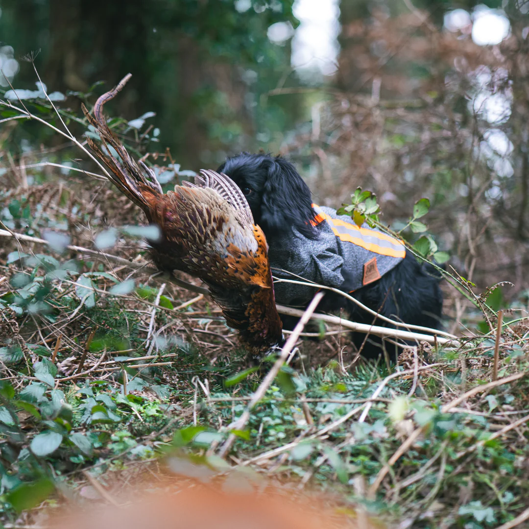 British-Made Gear for Every Adventure